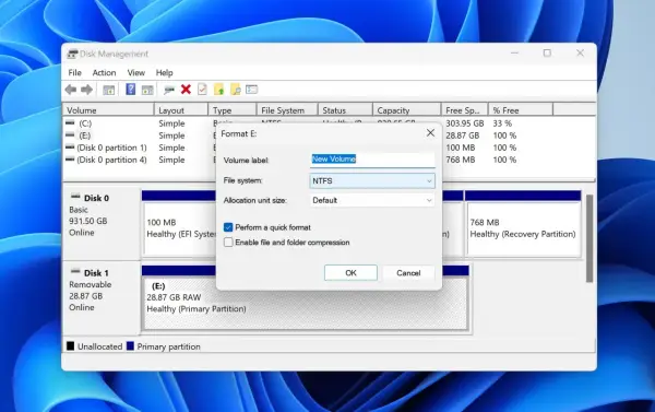 Datenträgerverwaltung zeigt ein Fenster zur Formatierung einer **raw partition** (E:) mit NTFS-Dateisystem.